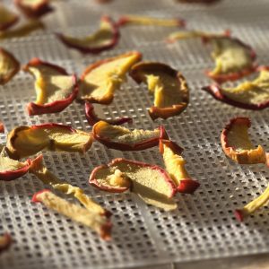 Dehydrated Apple Slices